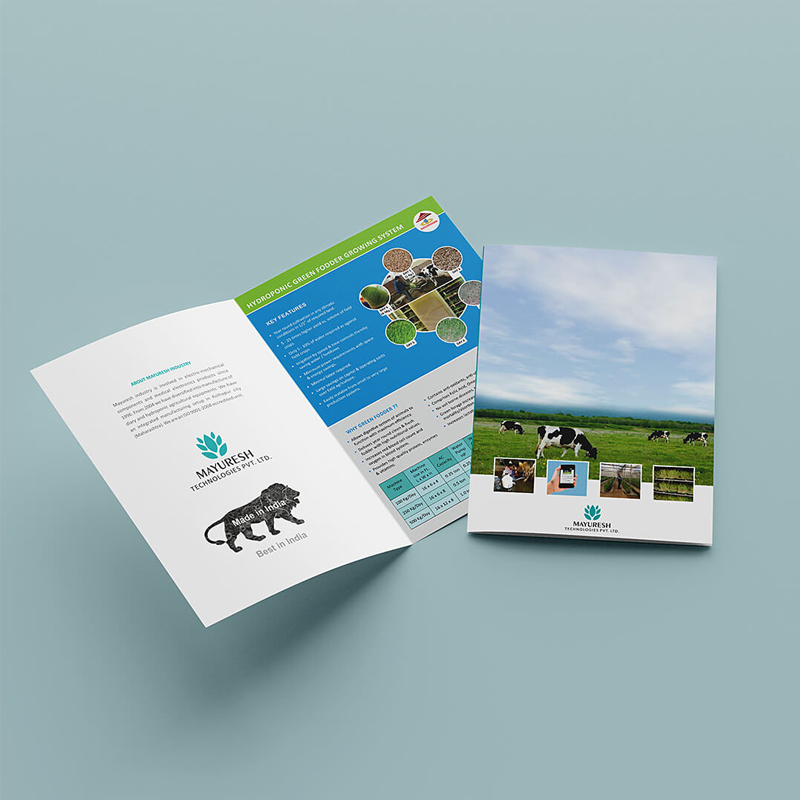 Bi-fold Brochure - Image 2