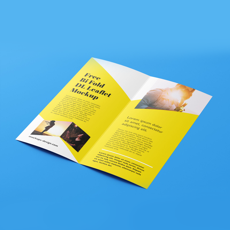 Bi-fold Brochure - Image 3