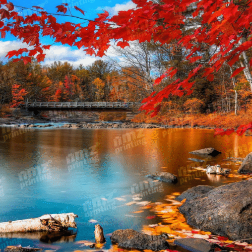 Assorted Four Seasons Calendar Magnet - Image 3