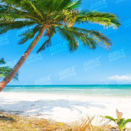 Assorted Beaches Calendar Magnet - Image 4